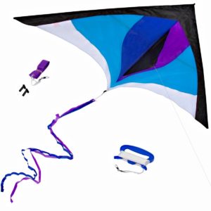 Best Delta Kite, Easy Fly for Kids and Beginners